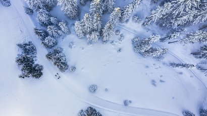 Aerial view of snow-covered road and trees in a winter forest