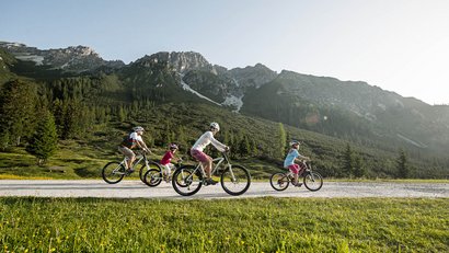 Bergkönig: Ihr Ort zum Erholen und Aktivsein
