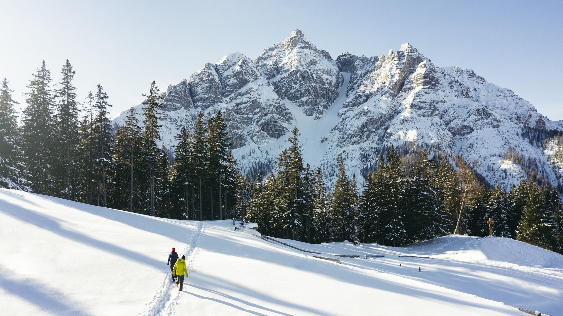 Two hikers walking through snowy alpine landscape with fir trees and mountain peaks